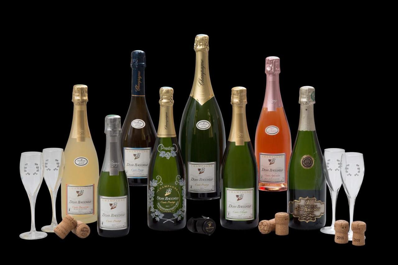 Domaine Bacchus Panzió Reuil-sur-Marne Kültér fotó