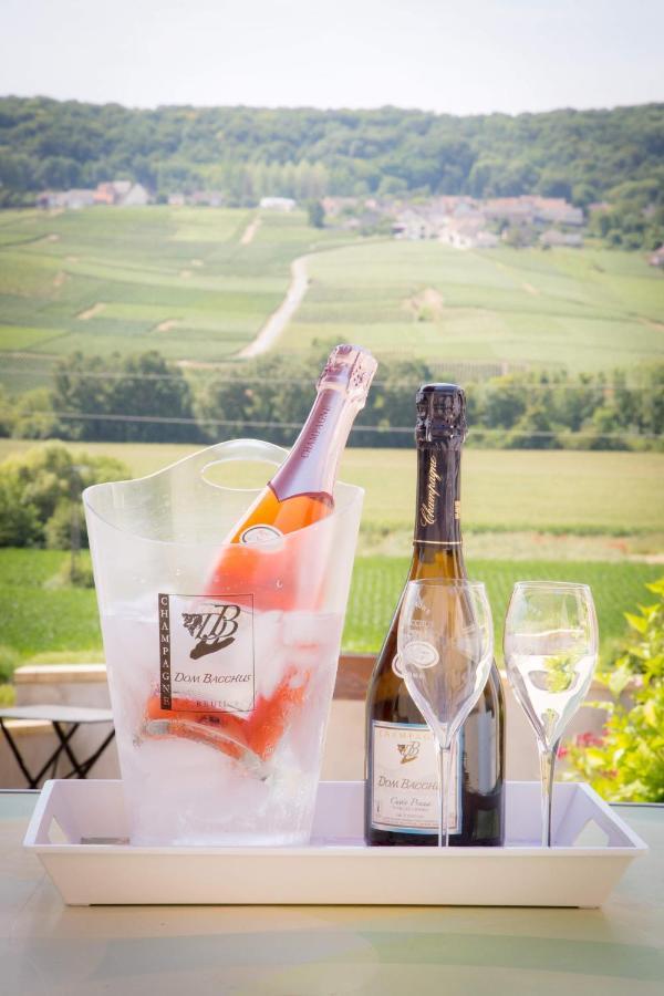 Domaine Bacchus Panzió Reuil-sur-Marne Kültér fotó